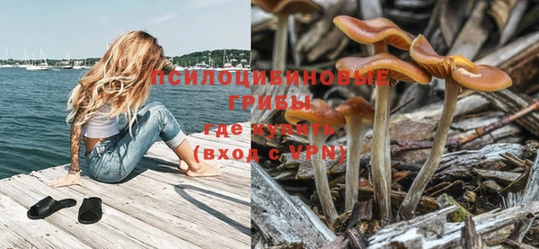 твердый Остров